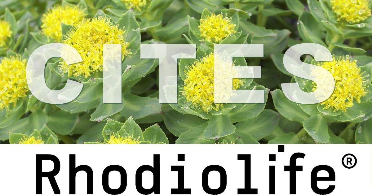 CITES approval of stock for Rhodiola Rhodiolife®