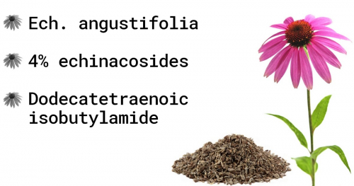 New Extract 4% echinacosides (U-HPLC)