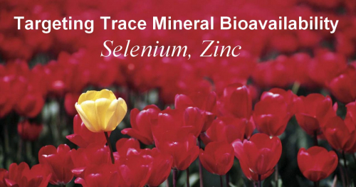 High bioavailable Selenium and Zinc