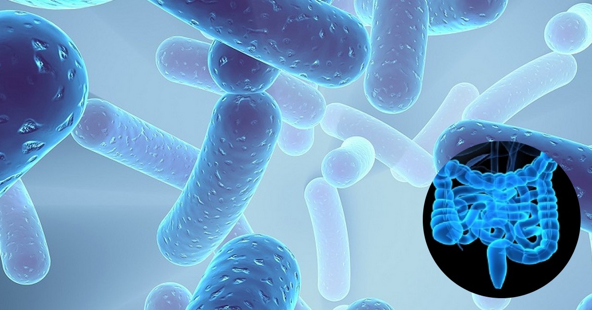 lactospore® and Irritable bowel syndrome (IBS) 