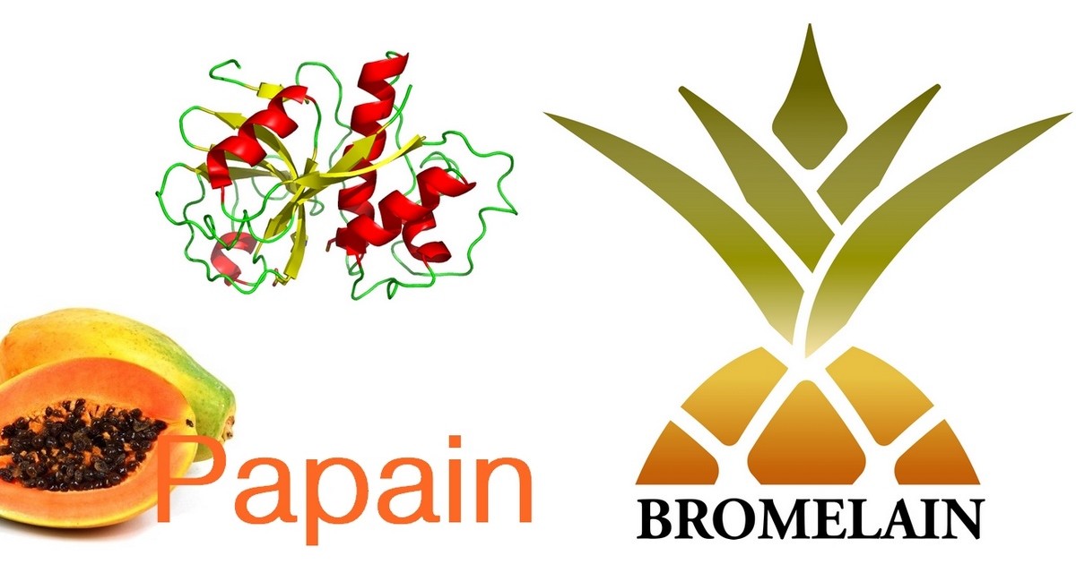 Papain and Bromelain
