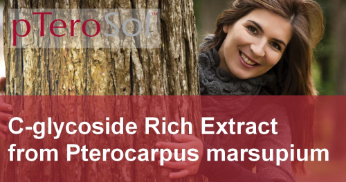 pTerosol™ : Pterocarpus extracts not only for pterostilbens !