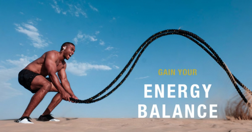 Energy balance using Forslean®