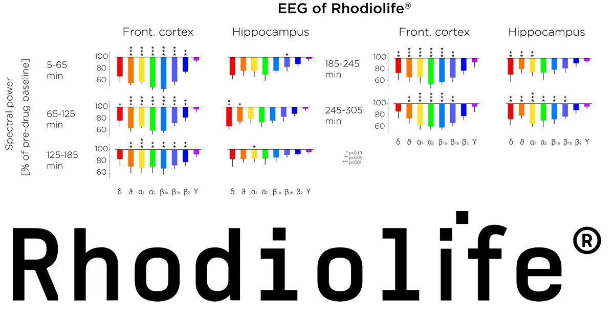 Rhodiola stimulates the central nervous system